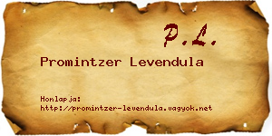 Promintzer Levendula névjegykártya
